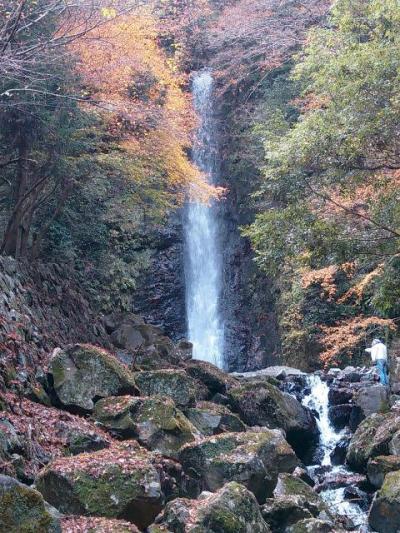 紅葉の養老の滝