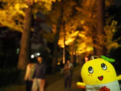 去年感動した荻窪；大田黒公園のライトアップにまた行くことができました。