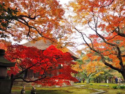 鎌倉の紅葉2014     幻の庭 長寿禅寺 