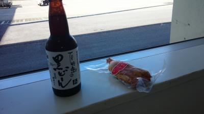 ＡＮＡ　ＳＦＣ修行　Ｆｉｎａｌ（その④）