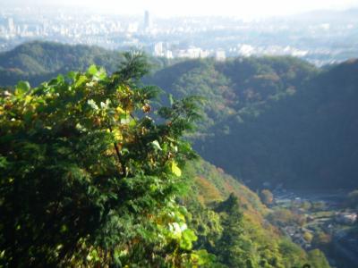 紅葉には少し早いが人出はあった高尾山エリアー2/2　（6号路→稲荷山コース）