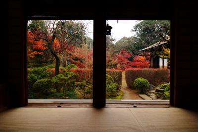 紅葉映ゆる縁側の先　さつまいもと蔵の街【川越】