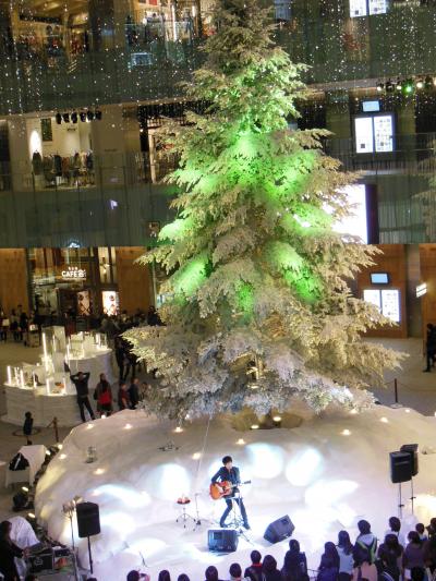 東京駅　キッテ・丸ビル～クリスマスツリーを急ぎみてまわる！
