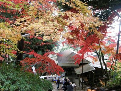 筑波山登山・・・①筑波山神社周辺の紅葉を楽しむ