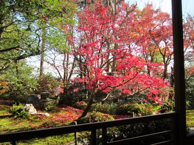 鈴虫寺～嵐山