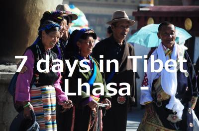 7 days in Tibet28★ラサ★チベット滞在もあとわずか