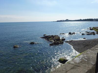 アイルランド　自然と音楽を巡る旅