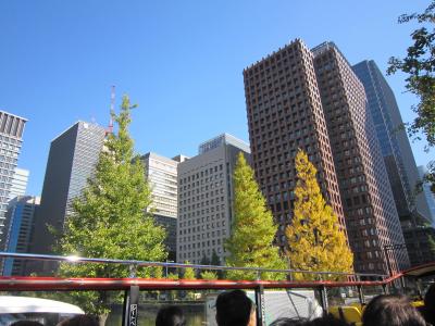 いちおう女子会、女６人で東京駅からスカイバスに乗って、小さな観光
