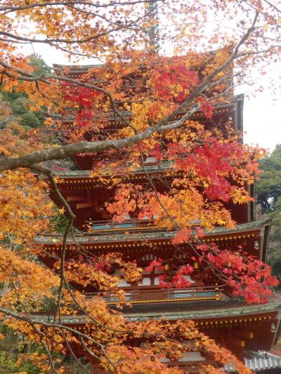 長谷寺へのミニオフ会。こんなに紅葉がきれいなんですね、長谷寺。