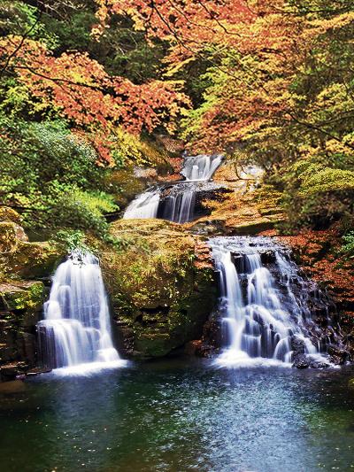 日本の滝１００選・紅葉の赤目四十八滝を散策
