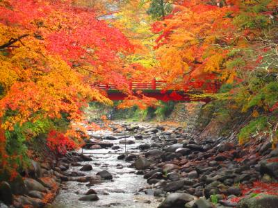 紅葉&温泉の修善寺温泉①