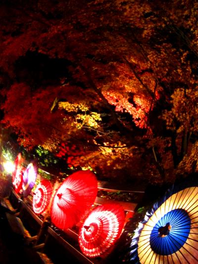 紅葉&温泉の修善寺温泉②