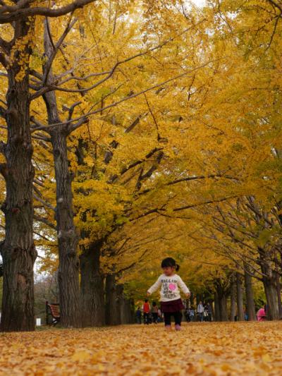 昭和記念公園黄葉＆紅葉オフ会
