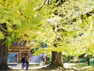 東京のあきる野の紅葉と黄葉そして深沢小屋でダッチオーブン