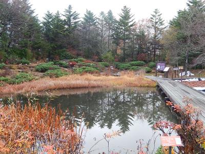 箱根仙石原でのオフ会に参加②箱根湿生花園を訪問