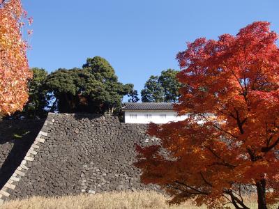 皇居乾通り一般公開と東御苑の紅葉♪前編