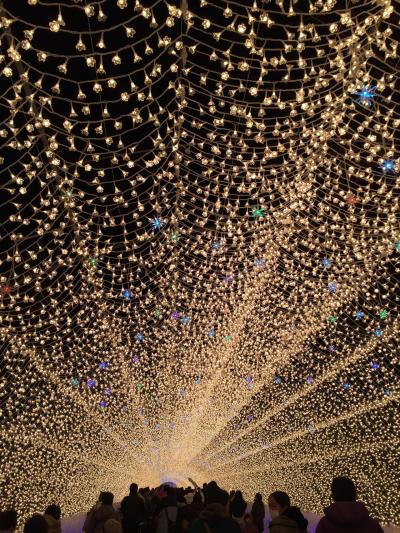 特典いっぱい!なばなの里イルミネーションバスツアー