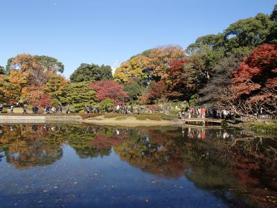 皇居乾通り一般公開と東御苑の紅葉♪後編