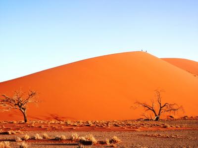 じじいの東アフリカ一人旅　２４　 (ナミビア・南アフリカ 編)