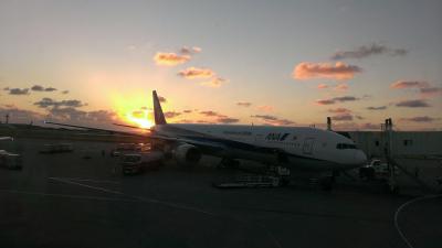 夫婦で沖縄三泊四日の旅　最終日は勝連城跡と伊芸海中道路と沖縄ワールド