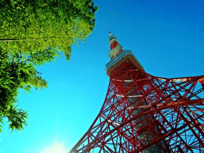 デザートはハニー・トラップ！　Today’s Special “最高峰・タワー添え” 【家族と歩く真冬の英国-番外編 2】