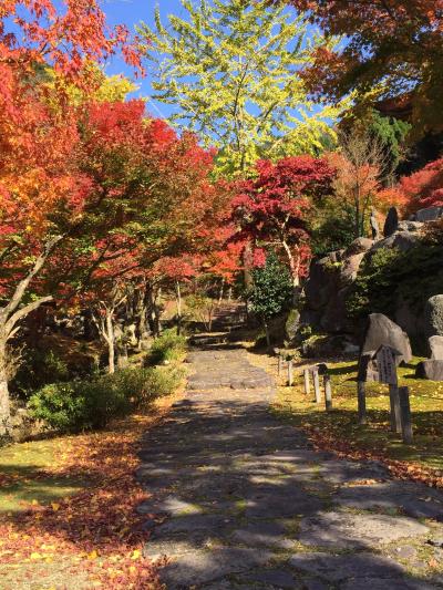 ★2014　秋★紅葉ドライブの巻