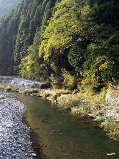 カメラをポケットに佐々里峠から京都市北部の広河原、花背をドライブしました