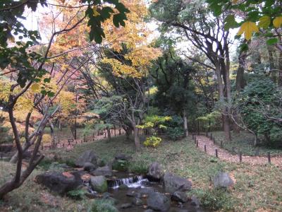 北の丸公園の晩秋