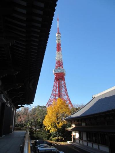 ２０１４年　東京　増上寺、東京タワー周辺の紅葉