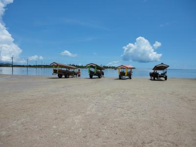 石垣島とクラブメッドを満喫する旅　～２０１４年３世代で行く～②