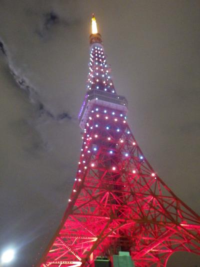 東京タワー クリスマス・ライトダウンストーリー