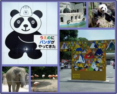 何十年ぶりだろう？上野動物園に行ってきました。①　～初めてパンダちゃんに逢えるんだね！　２０１２年６月１日