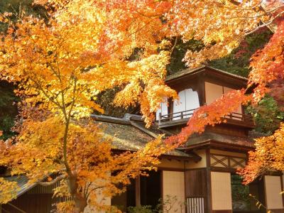 三渓園　紅葉[2014/12/07(日)]