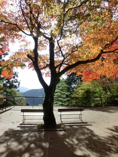 秋の京都ぶらり旅♪２０１４～その３～
