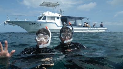 マンタと再会　石垣島　西表島