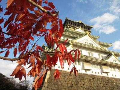 晩秋の大阪城公園、ことし最後の紅葉を見に行く