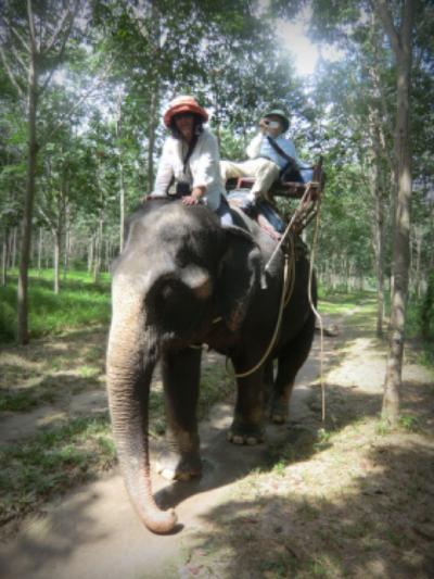 南国リゾート・プーケット＆古都チェンマイ　　4つのリゾートを巡る大満足の旅♪　vol. 2 ドキドキの象さんトレッキングとバンヤン・ツリーの癒しのスパ、そして期待のリージェントへ