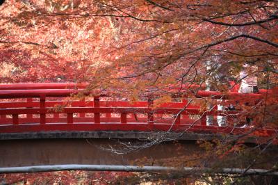 2014.11 紅葉！岩屋堂公園！