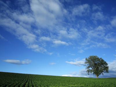 丘の町。　　～カムイが見守る北の大地へ。その5～