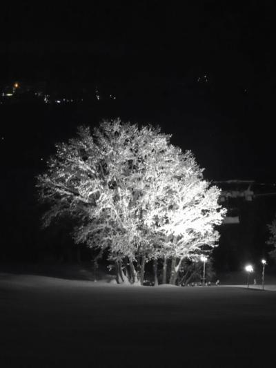 寒波到来で積雪量1メートル超！　　　　　　　　妙高高原　赤倉観光ホテルスティ　（２）　