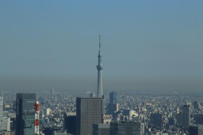 旅するイルカ♪　東京都へ　PART4　東京タワー編