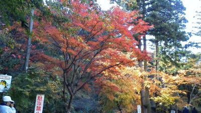 小松寺