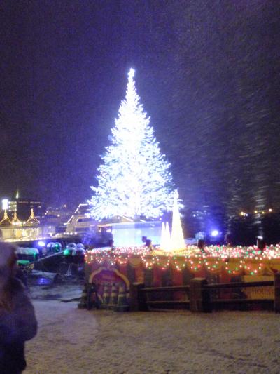 函館・初心者二人旅行~猛吹雪と夜景と温泉と!?~