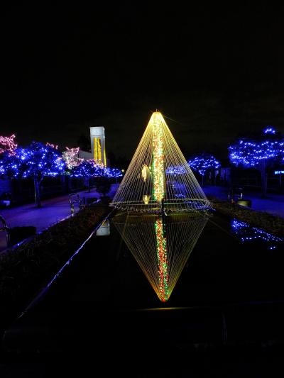 ご近所のイルミのほうが豪華だぞ。寺ヶ池公園のイルミと、超こじんまーーりな狭山池のイルミ。そして、フルタ製菓の工場でのクリスマスセール_2014