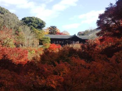 東福寺もみじウォーク