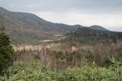 200910-02_長野トレッキング旅行（栂池自然園）Trekking in Nagano (Tsugaike Shizenen)