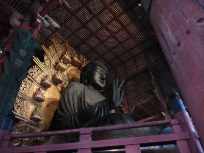 大仏が見たくて奈良へ