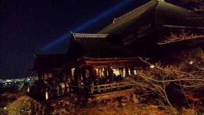 紅葉終盤の京都へ、メインは清水寺のライトアップと南禅寺かな。1