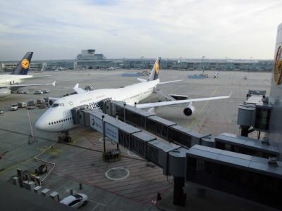 2014年11月　リオデジャネイロ→フランクフルト→日本　（帰国編）