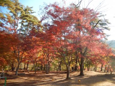 秩父・上長瀞附近の紅葉と親鼻橋周辺を歩く